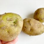 【奈良】緑に変色したジャガイモ食べ1家族3人が食中毒 「ソラニン類」検出　 国内では2年ぶりの公式確認