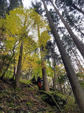 【京都】子供とみられる遺体を発見したのは京都府警警察官 死後相当な時間が経過 性別は「現時点で不明」