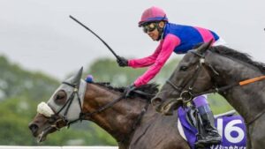 【G1・宝塚記念】武豊騎手騎乗のメイショウタバルが連覇達成！クロワデュノールは2着