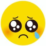 【現役高校生】「悲しいの類義語は？」→「ぴえん」…語彙力不足に国語講師が危機感を抱くワケ。「自分が何を考えてるかわからない」