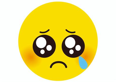 【現役高校生】「悲しいの類義語は？」→「ぴえん」…語彙力不足に国語講師が危機感を抱くワケ。「自分が何を考えてるかわからない」