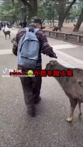 【自民党総裁選】自民・高市氏「シカ発言」で市民団体公開質問状　「ヘイトスピーチの可能性」指摘