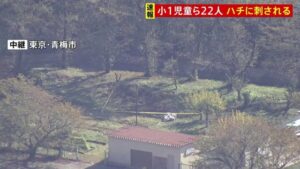 【青梅市立今井小】児童ら22人が地中にあった巣から飛び出したクロスズメバチに刺され全員救急搬送