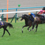 【菊花賞・G1】エネルジコがV!クラシック最後の一つを勝ちG1初制覇 ルメールは菊花賞3連覇で通算5勝目