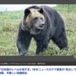 【NHK】ニュースの「日本語のレベルが低すぎ」…クマ被害の“見出し”が物議