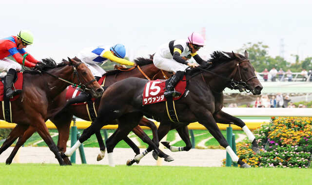 【第1回アイルランドT】ラヴァンダが初代女王! 岩田望来騎手は今年重賞5勝目