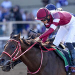 【競馬】フォーエバーヤングが米ブリーダーズCクラシック（G１）制覇！！日本調教馬が史上初の快挙！！