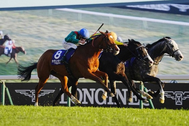 【競馬】G1ジャパンカップ　欧州最強馬カランダガンが優勝!　20年ぶりの外国馬V！