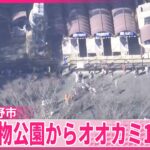 【東京】多摩動物公園からオオカミが脱走　けが人情報なし