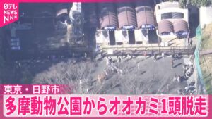 【東京】多摩動物公園からオオカミが脱走　けが人情報なし