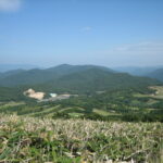 【京都府警】小6男児行方不明　自宅裏にある別荘地付近の捜索を開始　