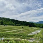 【京都小6男児遺体発見】安達結希さん宅家宅捜索｢逮捕まで時間はかからない」死因は脛骨の損傷か