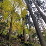 【京都】子供とみられる遺体を発見したのは京都府警警察官　死後相当な時間が経過　性別は「現時点で不明」