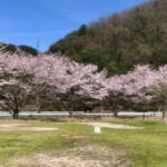 【京都南丹男児遺棄】逮捕された父親について「中国人」だと誤って報道したとして台湾テレビ局がHPでおわび