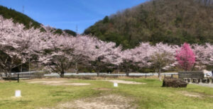 【京都府南丹市男児死亡】父親のスマホ検索履歴に「遺体を遺棄する方法」…