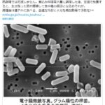 【目黒区】『AikZ kitchen＋』のケータリング料理で食中毒、７日間の営業停止処分