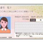 【マイナンバーカード】「本人希望」の理由で廃止されたカードが93万枚　マイナ消費効果は2兆4千億円