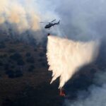 【海外】イタリア南部で山火事　複数のネコの尻尾に火を点けて放し放火か　過去にもマフィアが…