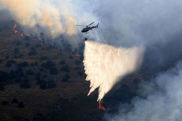 【海外】イタリア南部で山火事 複数のネコの尻尾に火を点けて放し放火か 過去にもマフィアが…