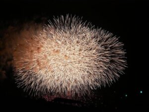 【千葉・市川市】“世界一”の花火大会で禁止行為相次ぎ怒りの声　「ルール守らないなら来なくていい」　