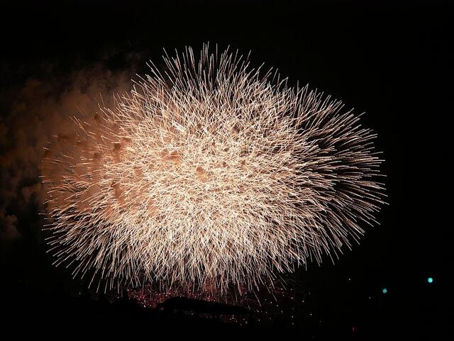 【千葉・市川市】“世界一”の花火大会で禁止行為相次ぎ怒りの声　「ルール守らないなら来なくていい」　